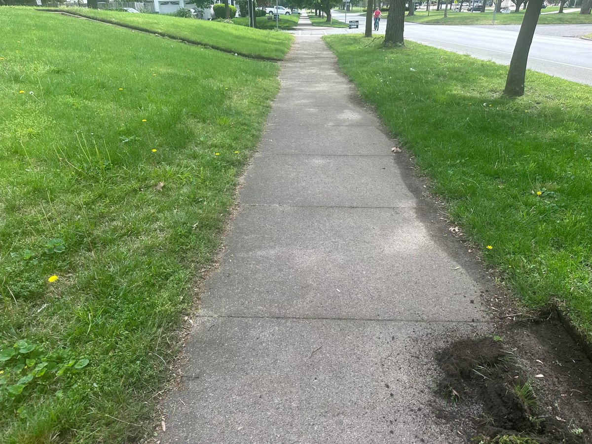 Sharp sidewalk edging with green lawn in Terre Haute — TEES Lawn Service