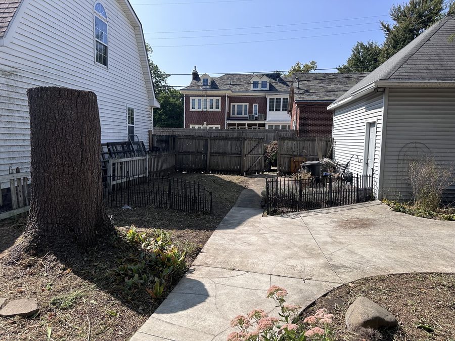 Yard cleanup with mulch bed around tree