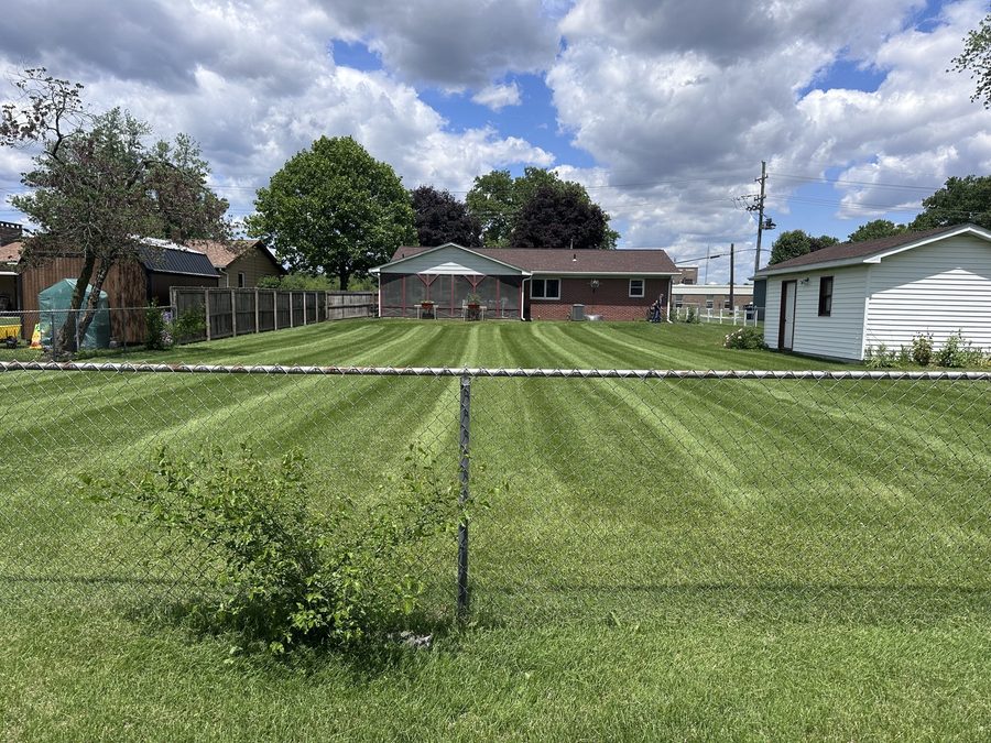 Beautifully striped backyard mowing in Terre Haute
