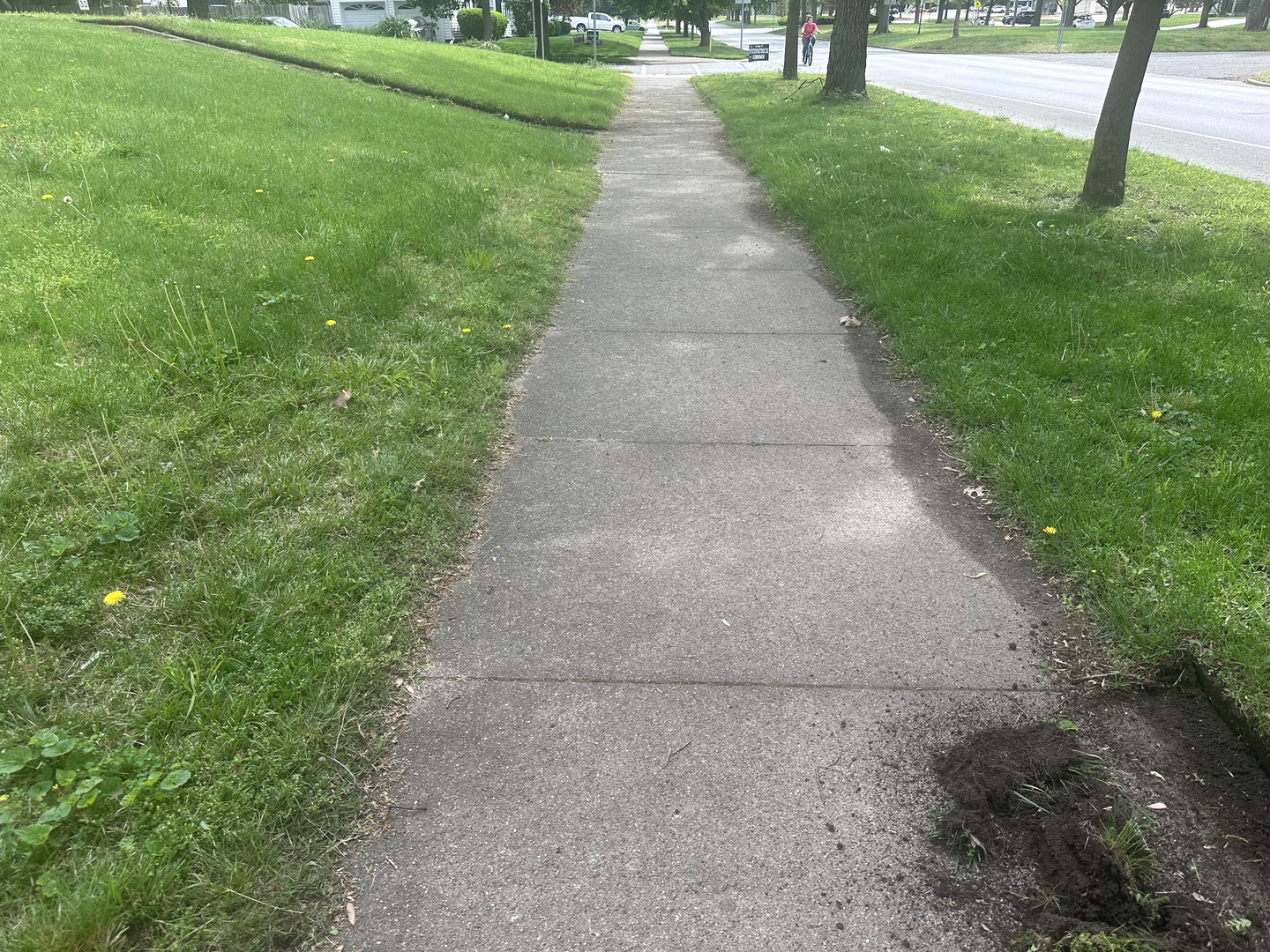 Sidewalk before edging service overgrown grass Terre Haute Indiana