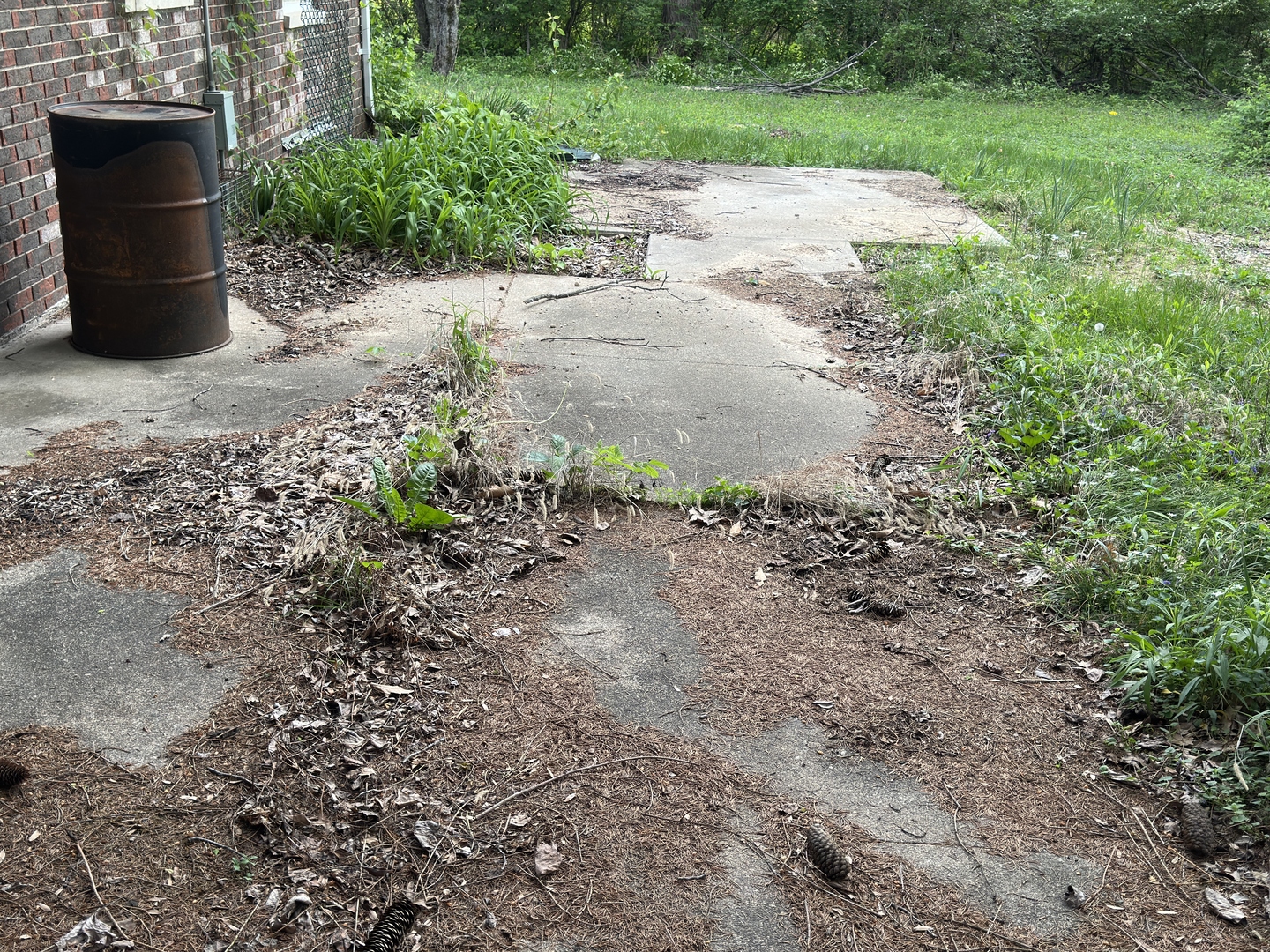 Neglected backyard patio with overgrown weeds before property cleanup Terre Haute Indiana